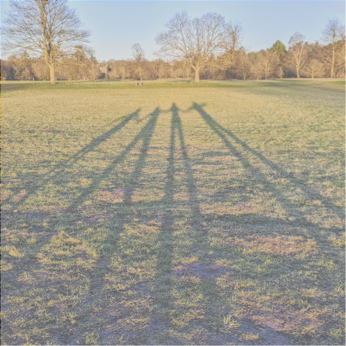 Four long shadows of people in parkland.